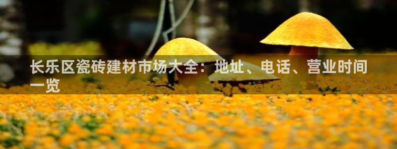 杏鑫娱乐平台测速怎么样