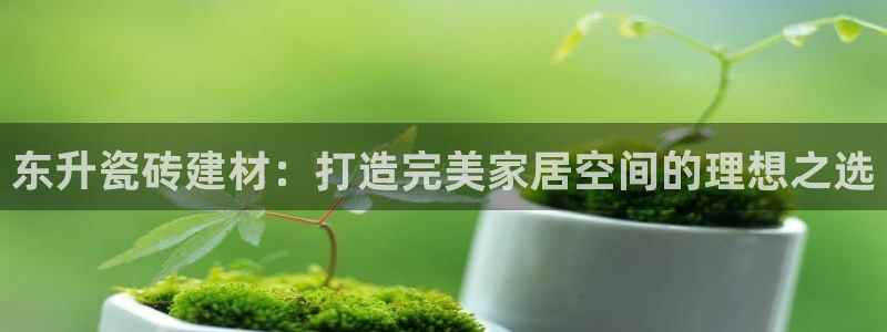 杏鑫平台代理怎么样啊