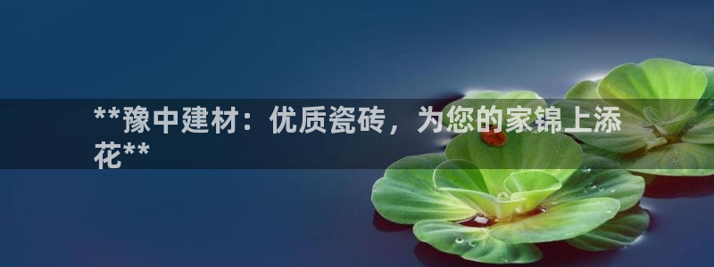 杏鑫平台代理怎么做