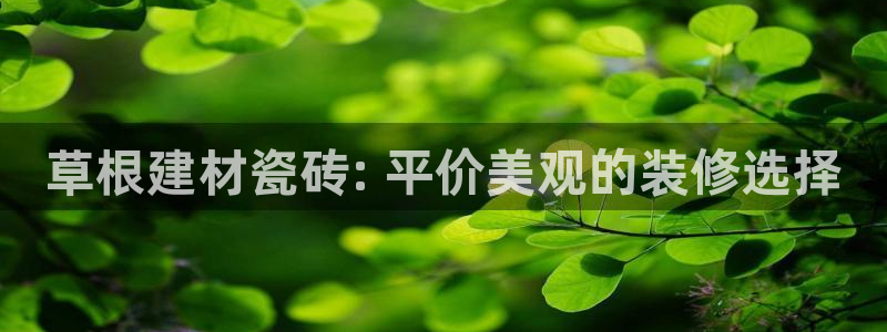 杏鑫手机客户端怎么下载