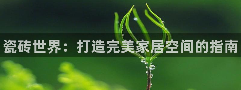 杏鑫官网最新信息新闻