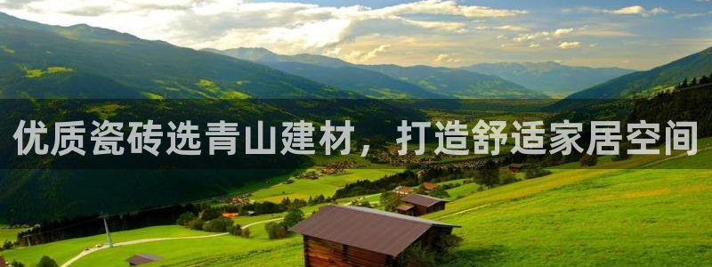 杏鑫平台代理怎么样啊