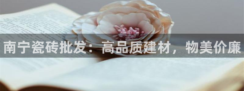 杏鑫官网最新信息