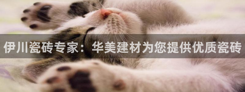 杏鑫官网最新信息新闻