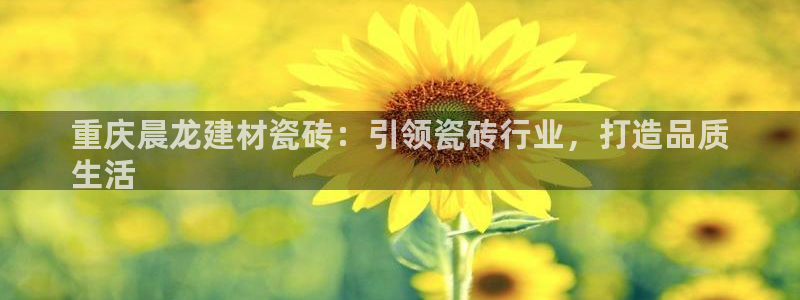 杏鑫手机客户端怎么下载