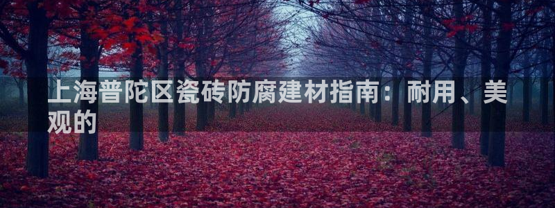 杏鑫平台招商电话号码查询