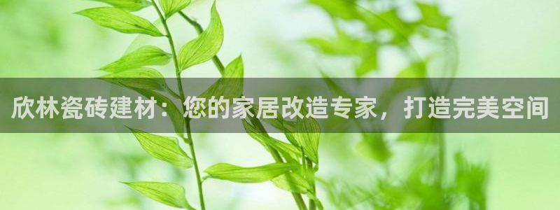 杏鑫平台怎么样黑钱吗
