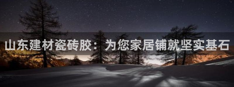 杏鑫官方app代理