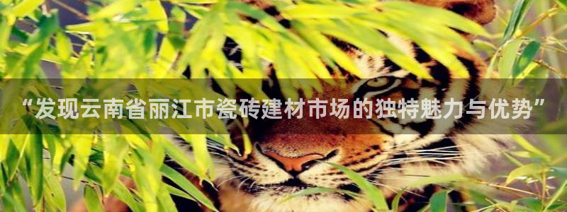 杏鑫平台直属