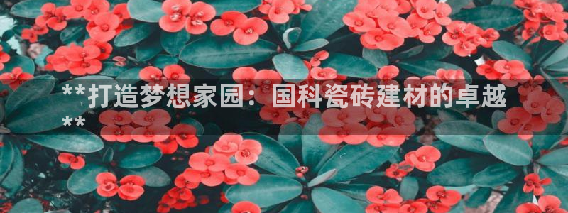 杏鑫平台是黑平台吗是真的吗