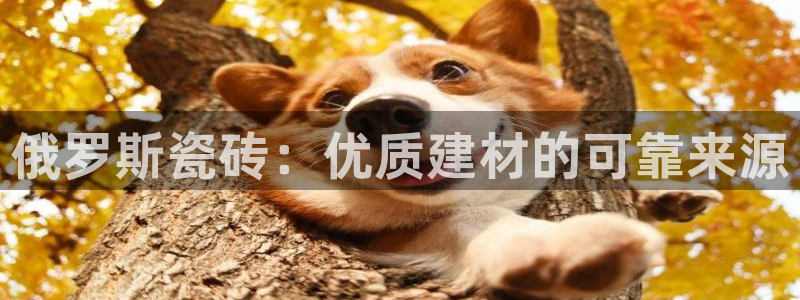 杏鑫娱乐负责人