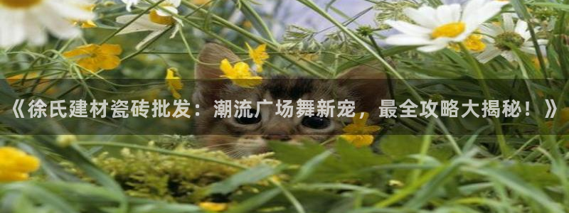 杏鑫平台招商电话号码是多少