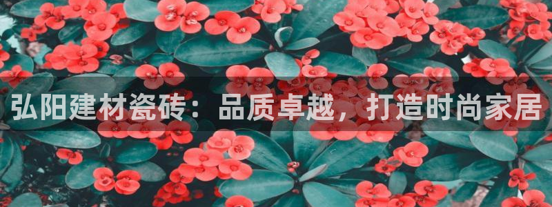 杏鑫平台念7O777