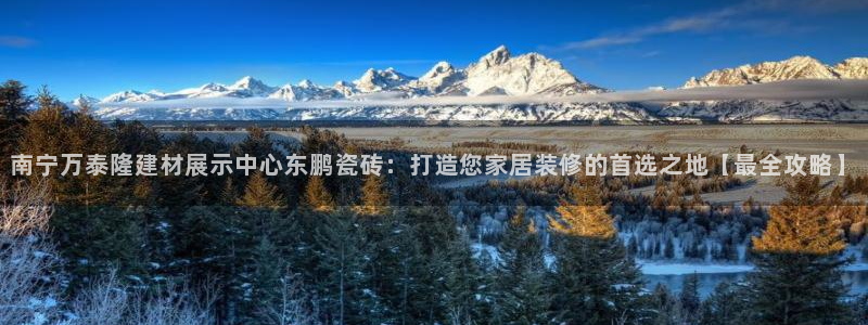 杏鑫平台直属