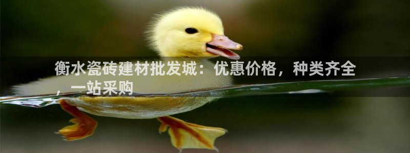 杏鑫主管