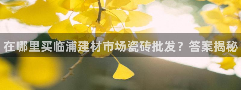 杏鑫平台平台