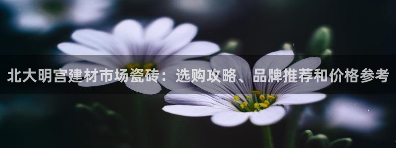 杏鑫平台直属哪个公司