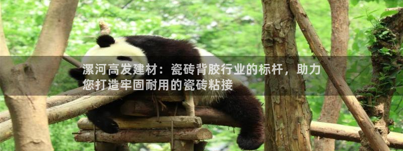 杏鑫平台招商电话号码